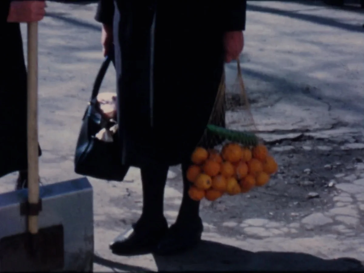 To Describe the World: A Conversation with Courtney Stephens about 'Terra Femme'