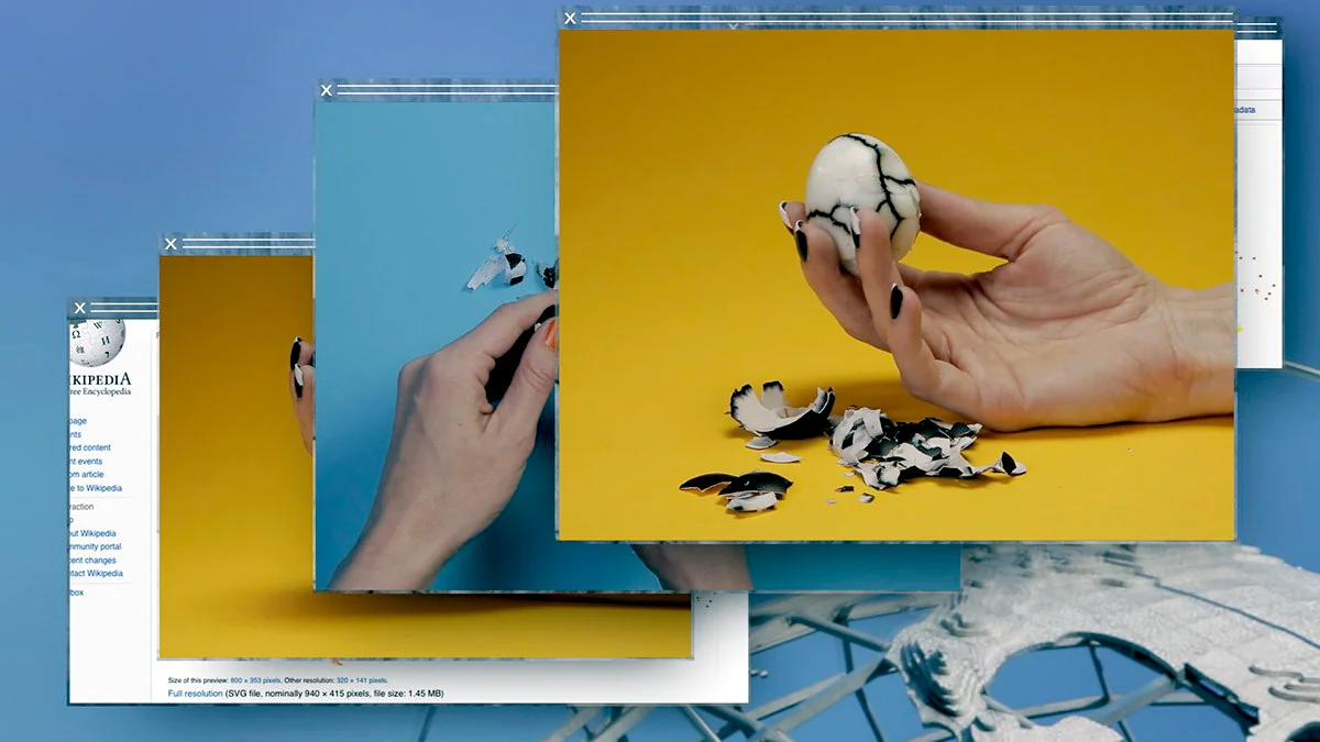 A Backwards Trajectory through Camille Henrot’s 'Days are Dogs'