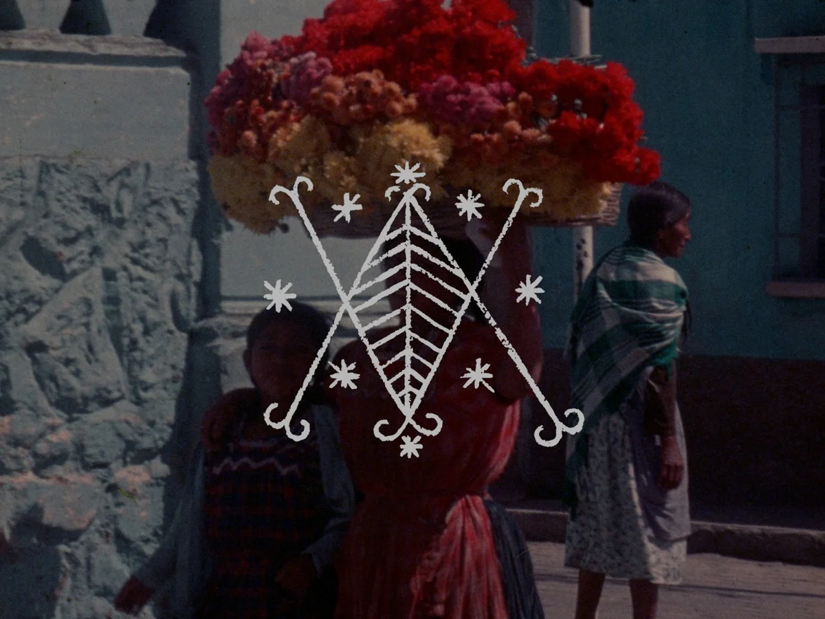 In Search of a 'Feminist Sensibility': Two Shorts By Deborah Stratman and Lynne Sachs